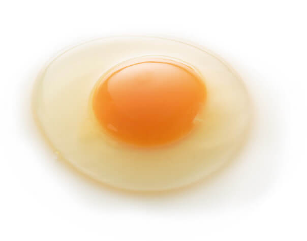 店内で販売している卵は全て朝どれの卵です！
